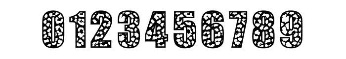 Leopard Font Font OTHER CHARS