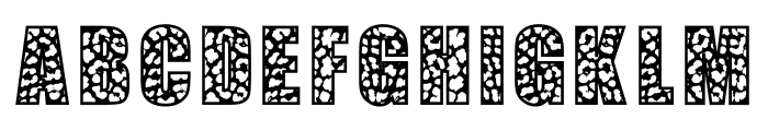 Leopard Font Font UPPERCASE