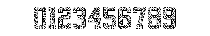Leopard Safari Regular Font OTHER CHARS