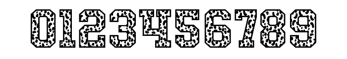 Leopard Team Font OTHER CHARS