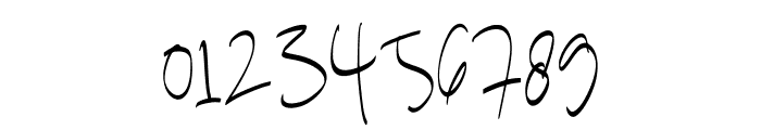 LerasedSignature-Regular Font OTHER CHARS