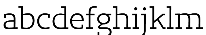 Lev Serif Light Font LOWERCASE