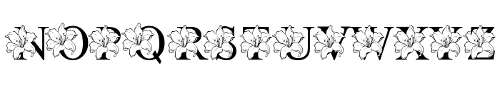 Lilian Flower Font LOWERCASE