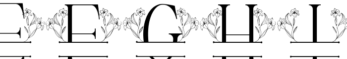 Lily Blossom Line Monogram Font LOWERCASE