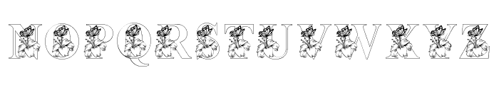 Lily Flower Outline Font LOWERCASE
