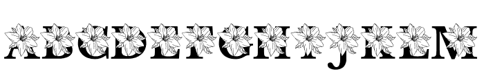 Lily MNGRM Font LOWERCASE