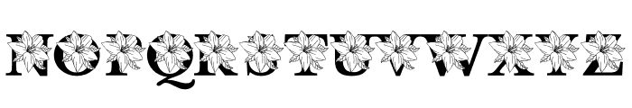 Lily MNGRM Font LOWERCASE