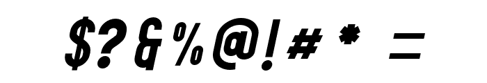 Liongate Italic Font OTHER CHARS
