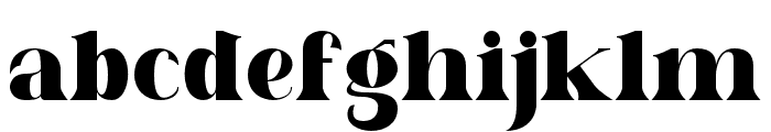 Literacy Serif Font Font LOWERCASE