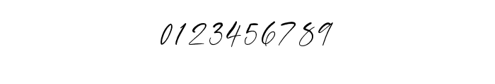 Loneliness Swashes Regular Font OTHER CHARS