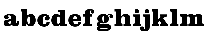 LousianaGrande-Regular Font LOWERCASE