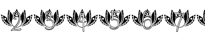 Loyal Lotus Mandala Monogram Font OTHER CHARS