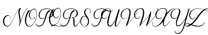 Luisaandpeter-Italic Font UPPERCASE