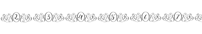 Luxury Monogram Font OTHER CHARS