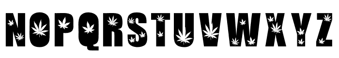 MEDICAL CANNABIS Font LOWERCASE