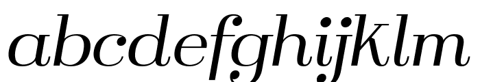 Mackie Italic Thin Font LOWERCASE