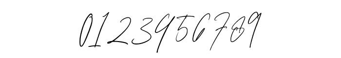 MadienaSignature-Regular Font OTHER CHARS