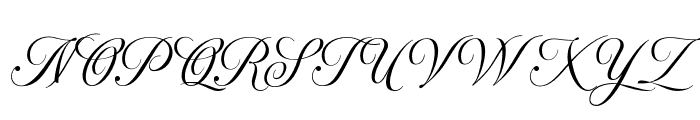 MadisonSauvage-Script Font UPPERCASE