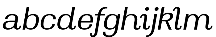 Magate Thin Italic Font LOWERCASE