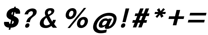 MagnifyPRO-BoldItalic Font OTHER CHARS