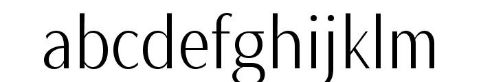 Magnisa Sans Medium Font LOWERCASE