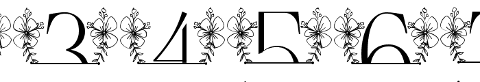 Magnolia Floral Line Monogram Font OTHER CHARS