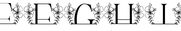 Magnolia Floral Line Monogram Font UPPERCASE