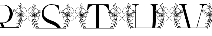 Magnolia Floral Line Monogram Font UPPERCASE