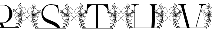 Magnolia Floral Line Monogram Font LOWERCASE