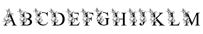 Magnolia Flower Monogram Font LOWERCASE