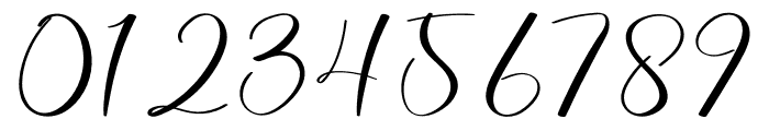 Magnolia Signature Font OTHER CHARS