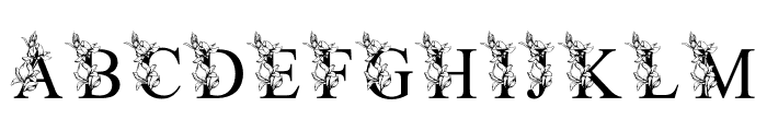 MagnoliaFlowerMonogram Font LOWERCASE