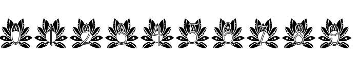Majestic Lotus Mandala Monogram Font OTHER CHARS