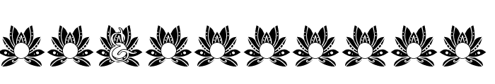 Majestic Lotus Mandala Monogram Font OTHER CHARS