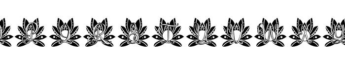 Majestic Lotus Mandala Monogram Font LOWERCASE