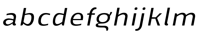 Mally Regular Italic Font LOWERCASE