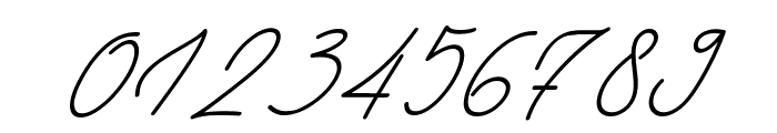 Manhattan Signature Italic Font OTHER CHARS