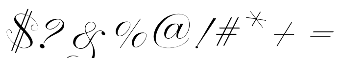 ManhattanCalligraphy Font OTHER CHARS