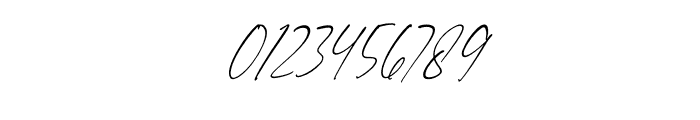 Manstterdam Gronzidale Italic Font OTHER CHARS