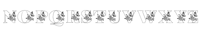 Mariposa-Regular Font LOWERCASE