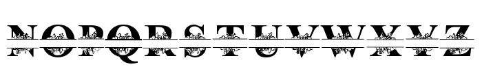 Maxwell Monogram Font LOWERCASE