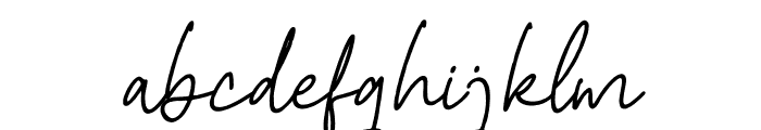 Meithany Wilkins Italic Font LOWERCASE