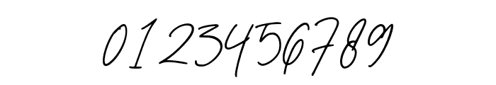 Melidaysignature-Regular Font OTHER CHARS