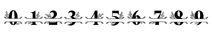 Mellissa Monogram Font OTHER CHARS