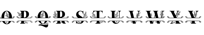 Mellissa Monogram Font LOWERCASE