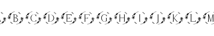 fontPreview