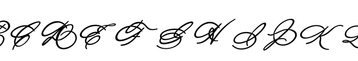 Michelle Fellicia Bold Italic Bold Italic Font UPPERCASE