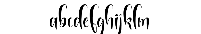 Mignolight serif Font LOWERCASE