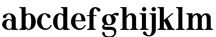 Migontama-Bold Font LOWERCASE