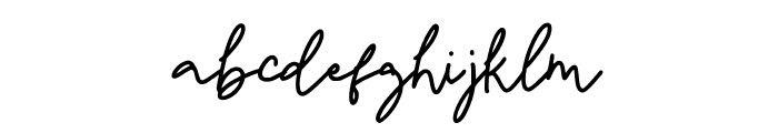 MigueraSignature-Regular Font LOWERCASE